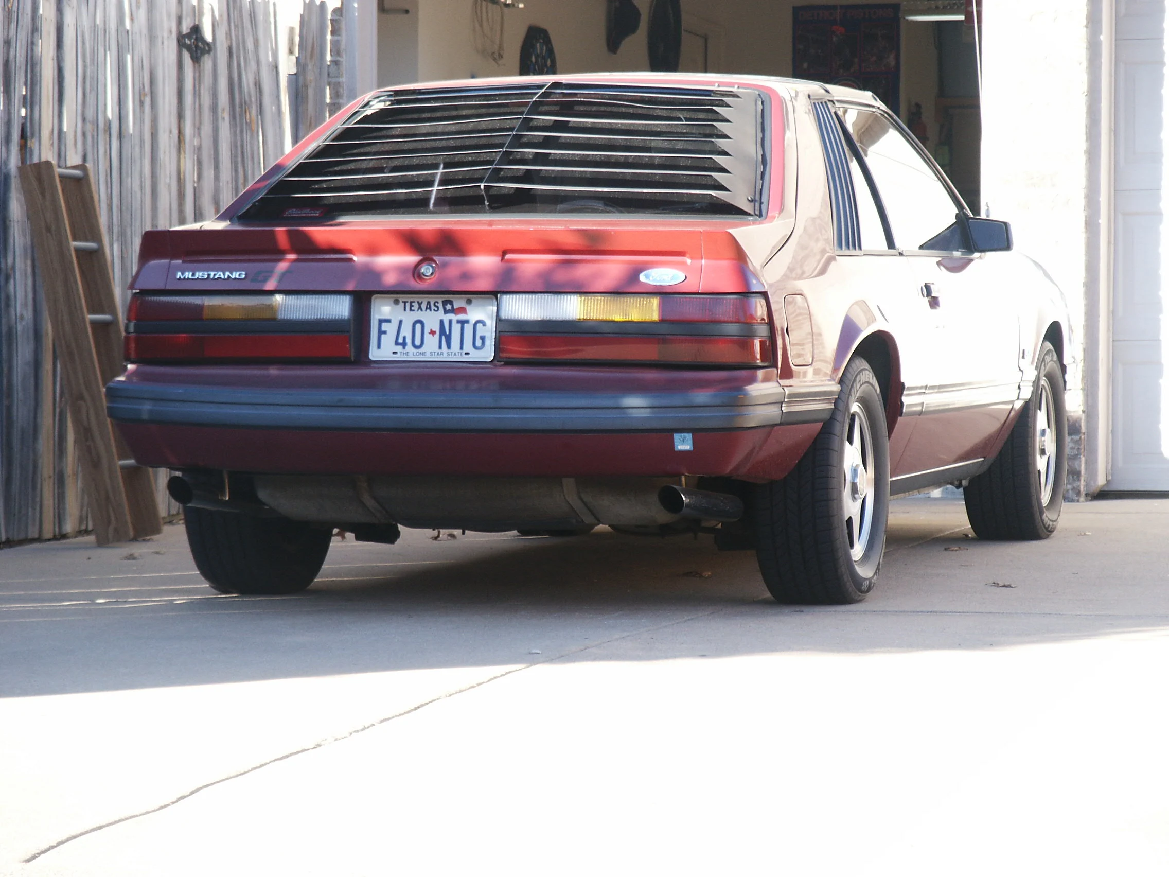 back.webp