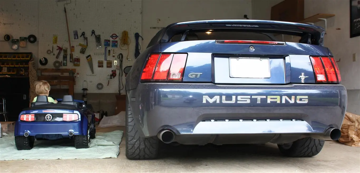 back_cropped noplate (Medium).webp