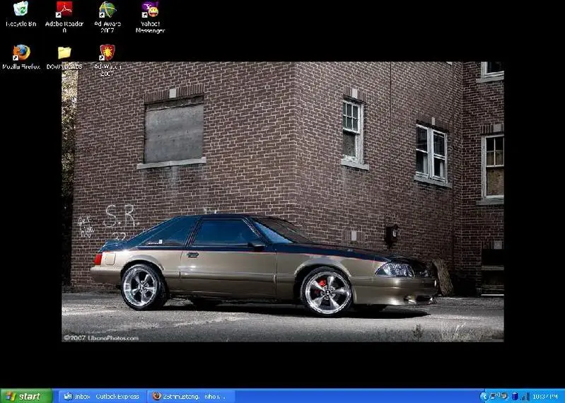 background.webp