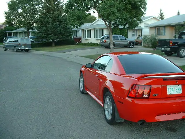 backgroung.webp