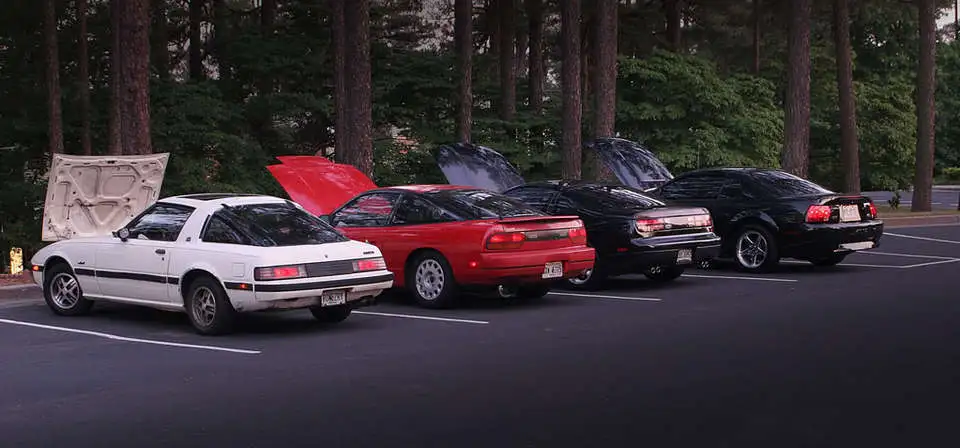 backs.webp