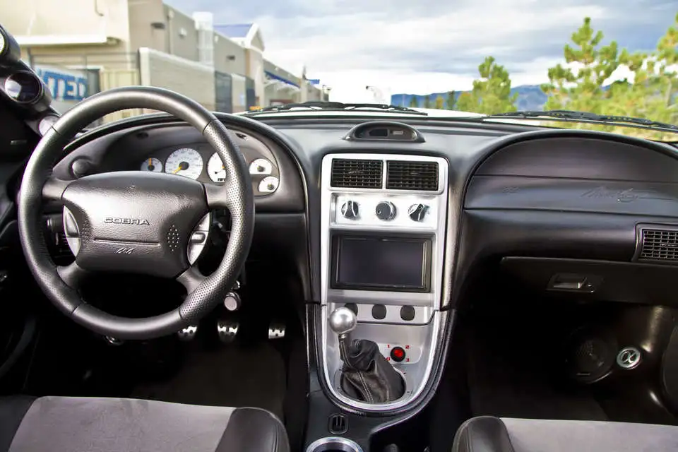 backseat.webp