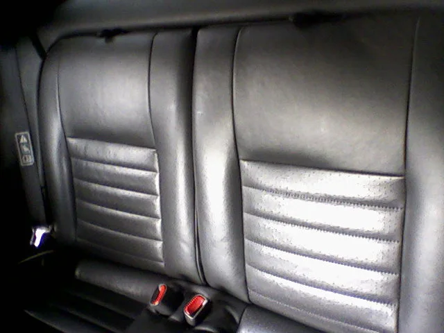 backseats.webp