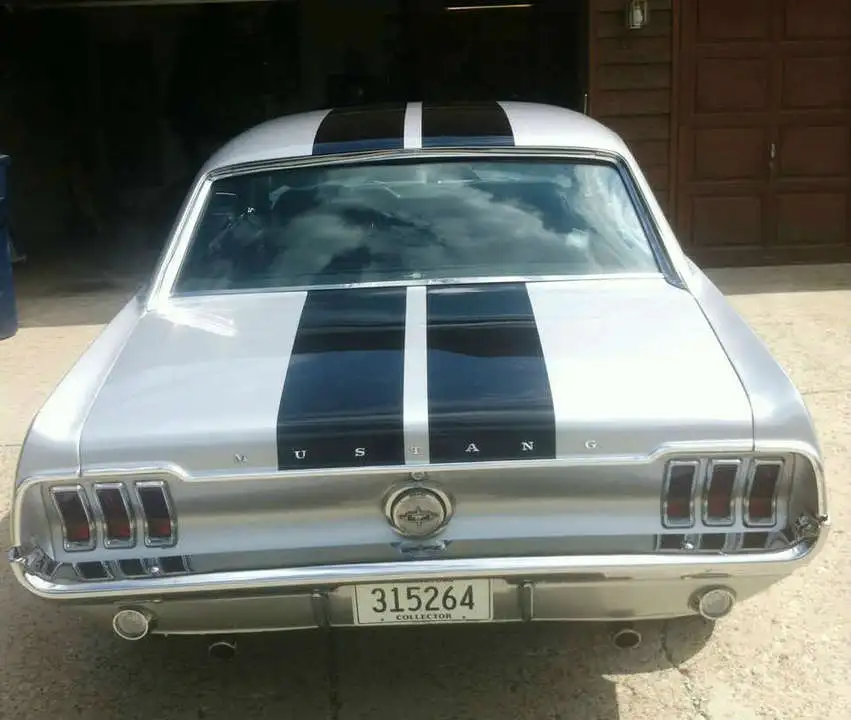backstripe.webp
