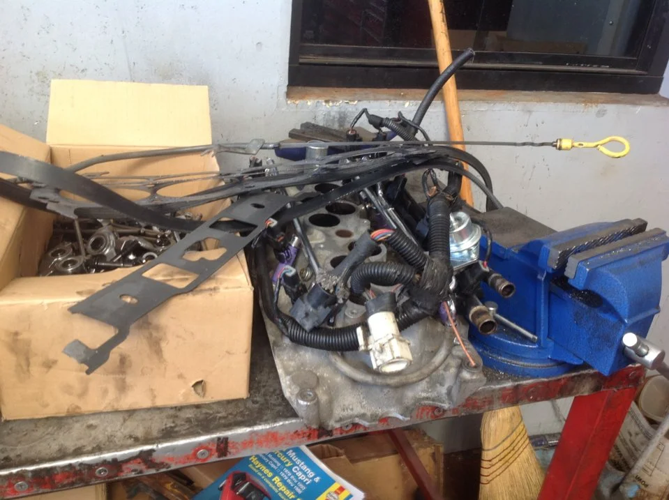 bad heads tear down 3.webp