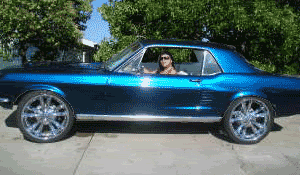 bariostang2.gif