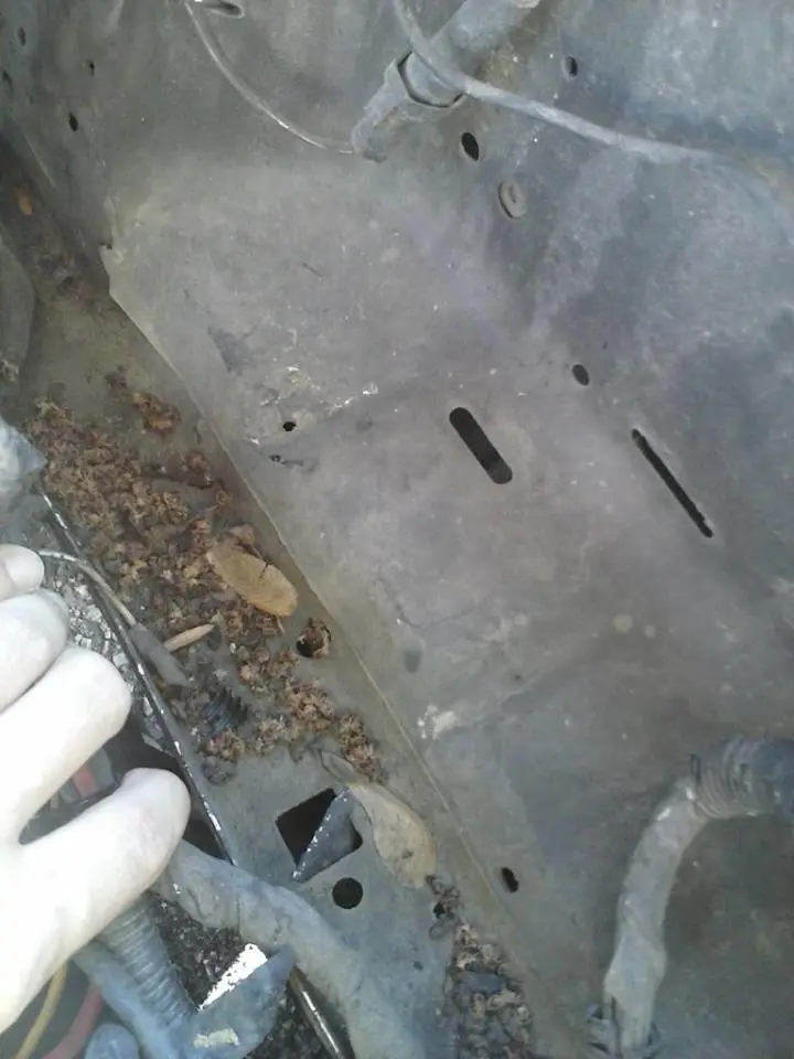 battery tray1.webp