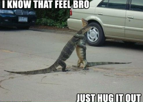 baww_hug_it_out_reptiles.webp