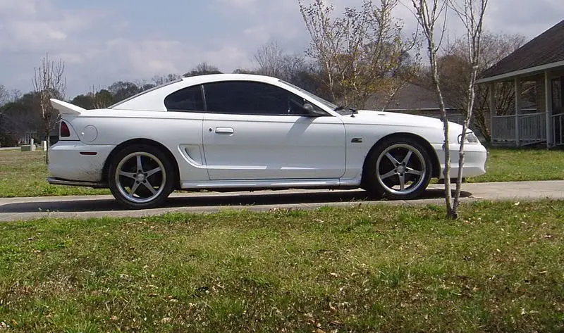 bbdirtystang.webp
