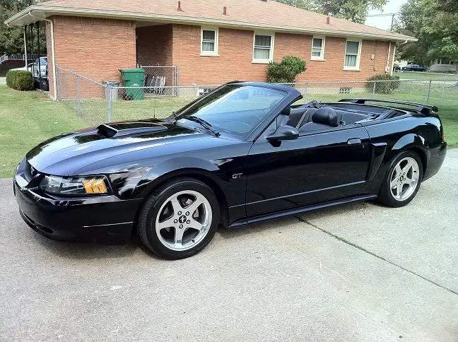 bbstang22.webp