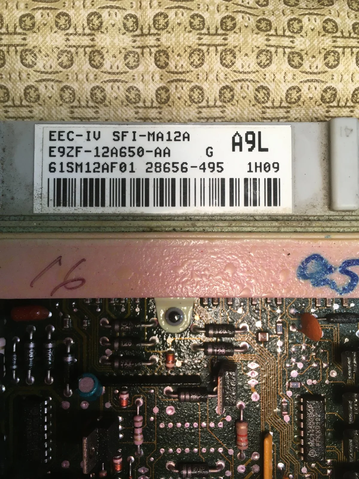 BDAE4C22-FAEF-49A0-A889-F45A88490441.jpeg