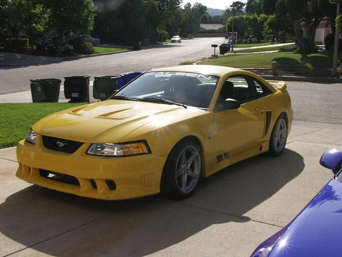 Beard99Saleen.webp