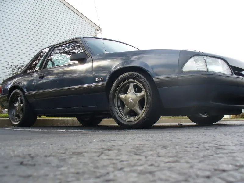 BeastGreyPony.webp
