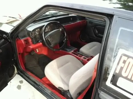 BEFORE-stang.webp