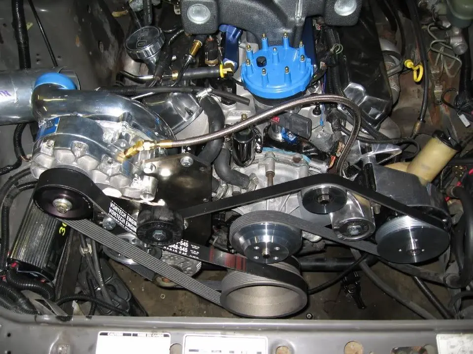 belt1.webp