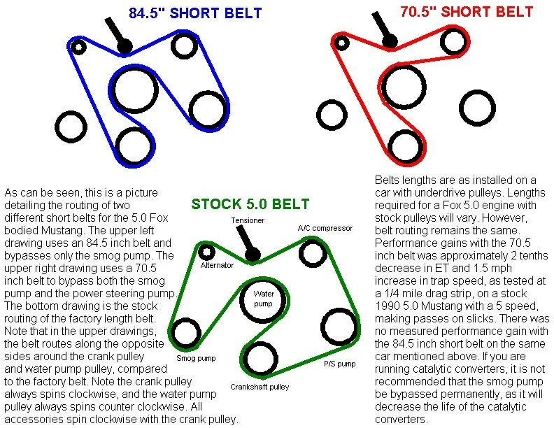 belts.webp