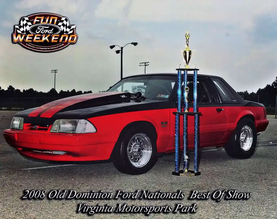 bestofshow.webp