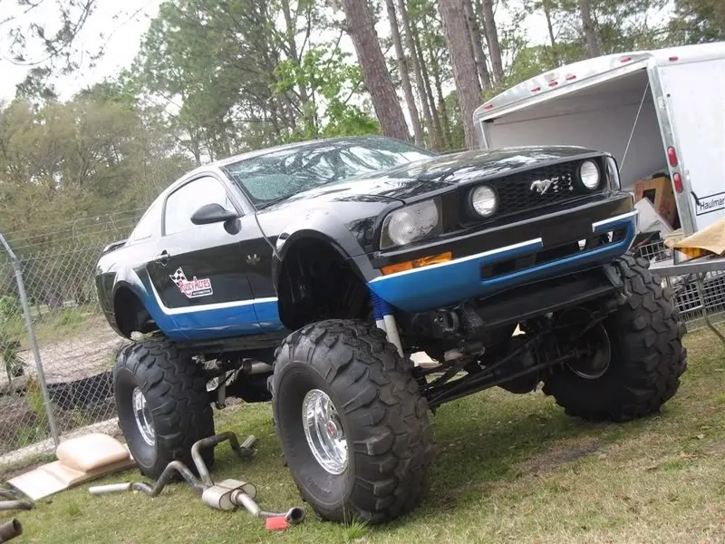bigstang.webp