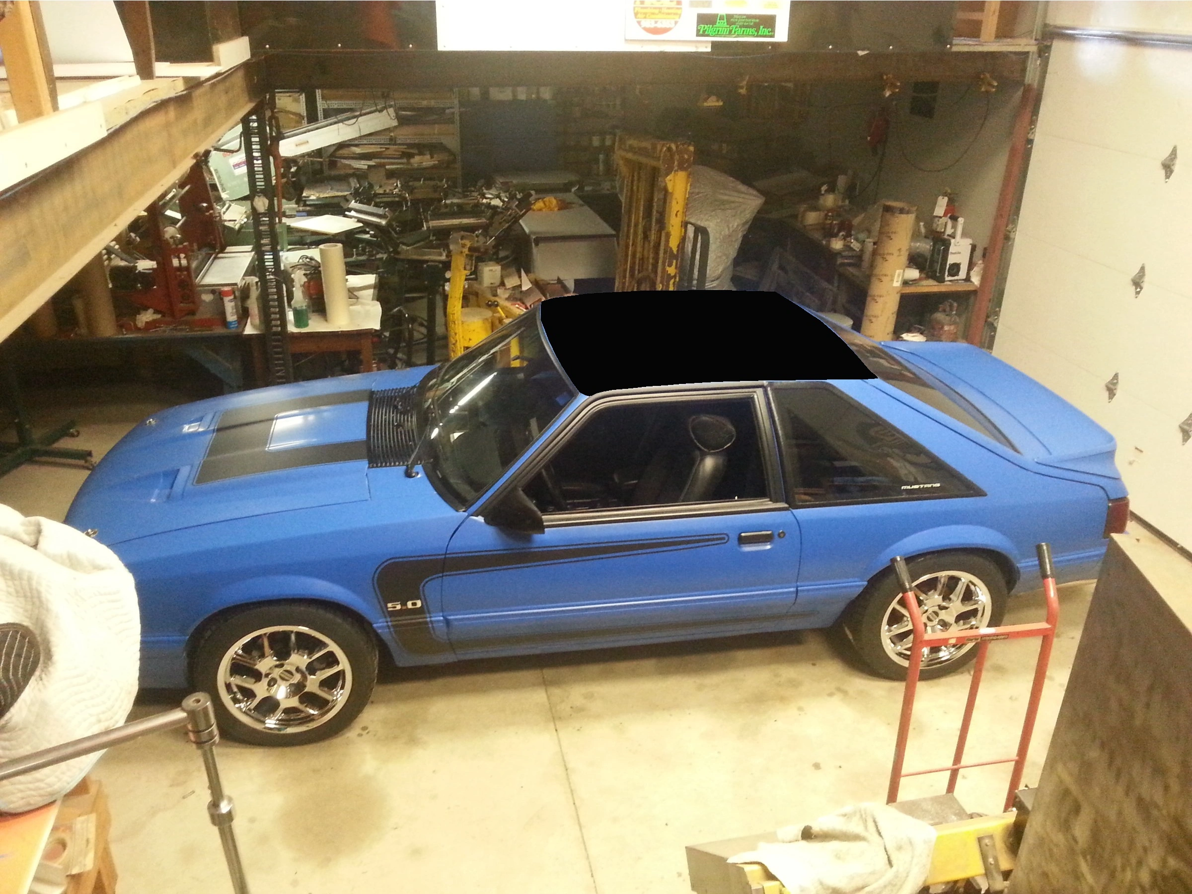 black roof.webp