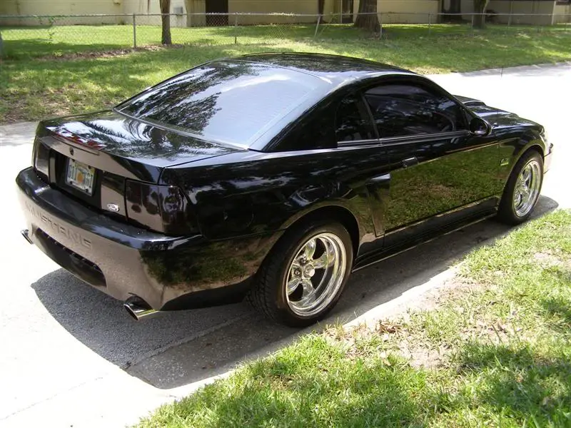 black005.webp