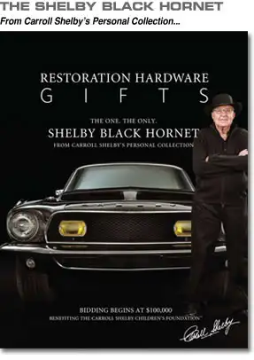 black_hornet_main1.webp