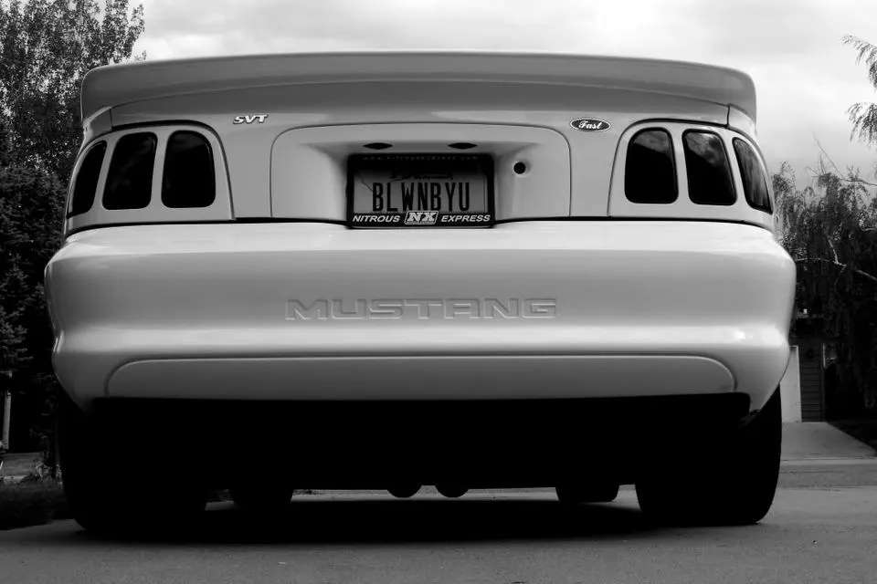 blackandwhitecobrarearend.webp