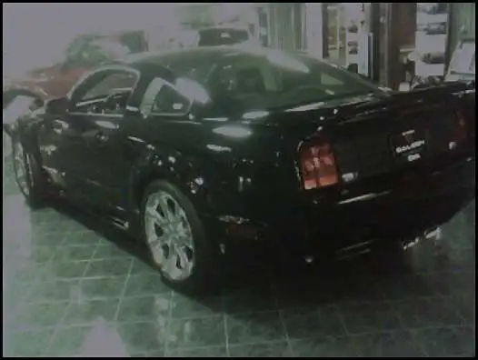 blackback.webp