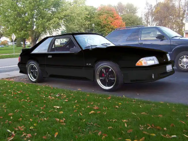 blackmustang.webp