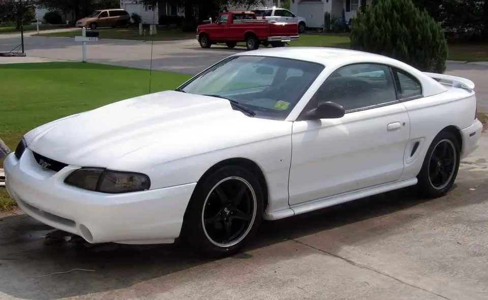 blackrims3.webp