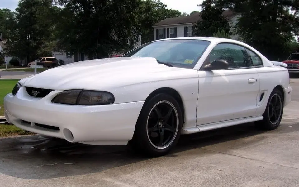 blackrims4.webp
