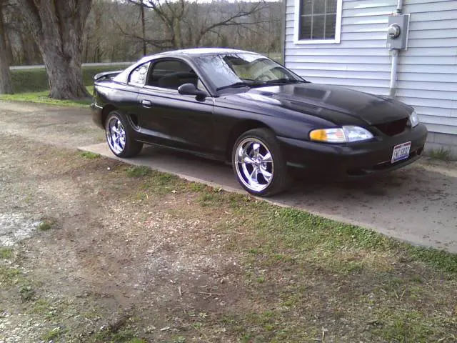 blackstang.webp