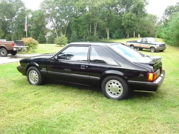 blackstang.webp