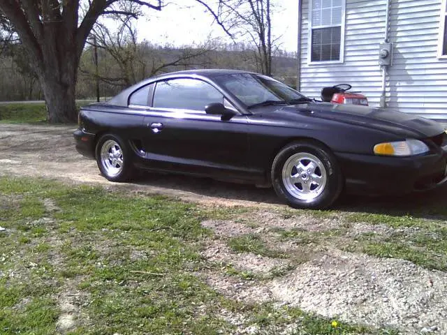 blackstang2.webp