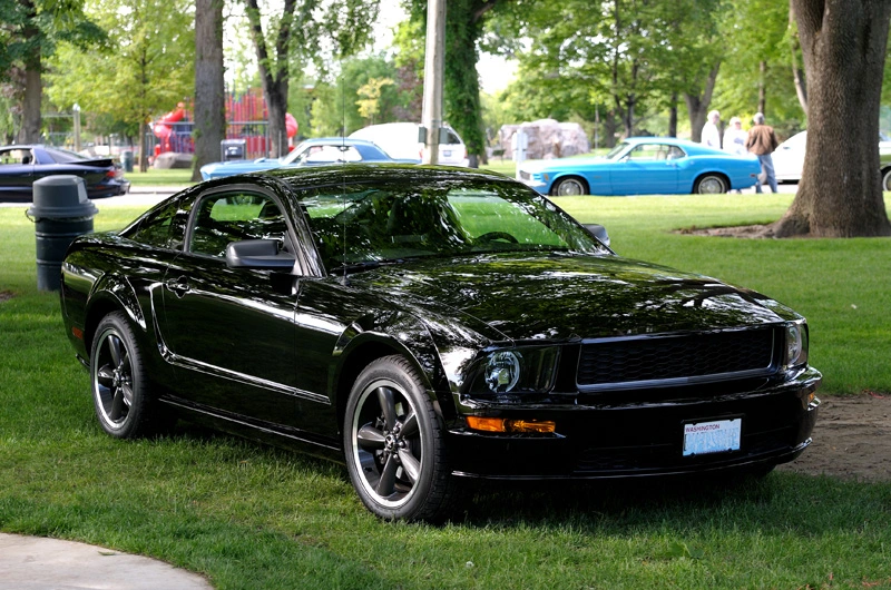 blackstangcropped.webp