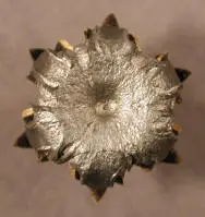 blacktalon%20010.webp