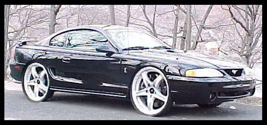 blingbling.webp