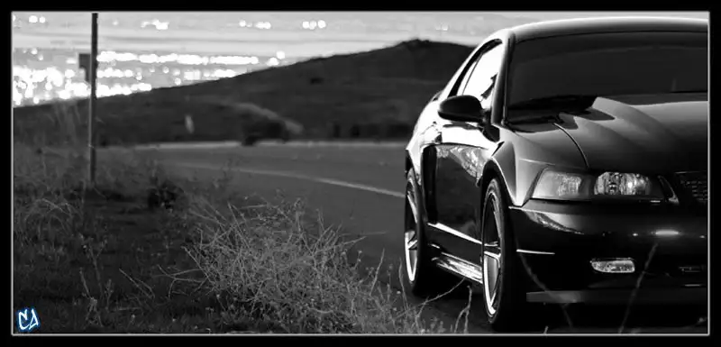 BLKnWHTBackgroundSig.webp