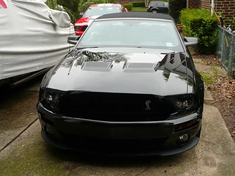 blksnakefront.webp