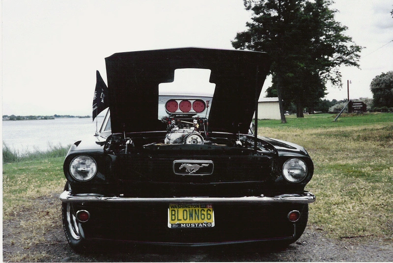 blown 001.webp