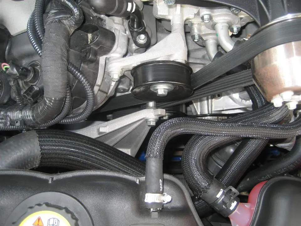 blown5.0belt.webp
