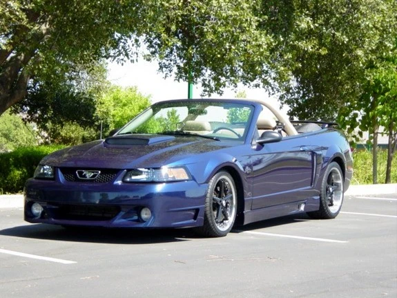 Blue Baby I.webp