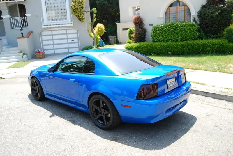 blue_blacksaleens.webp