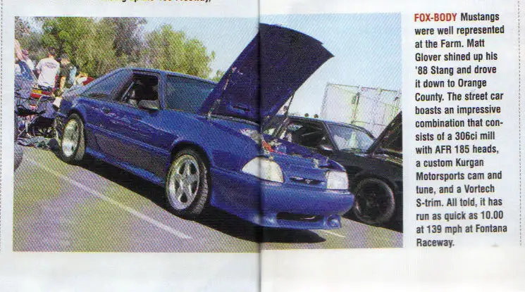 blue_mustang_in_mag.webp