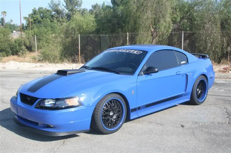 bluechicane.webp