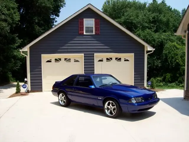 bluestang4.webp