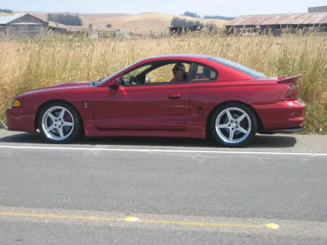 bodegabay09008.webp