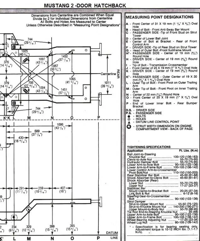 Body Measurement Rear_1993.webp