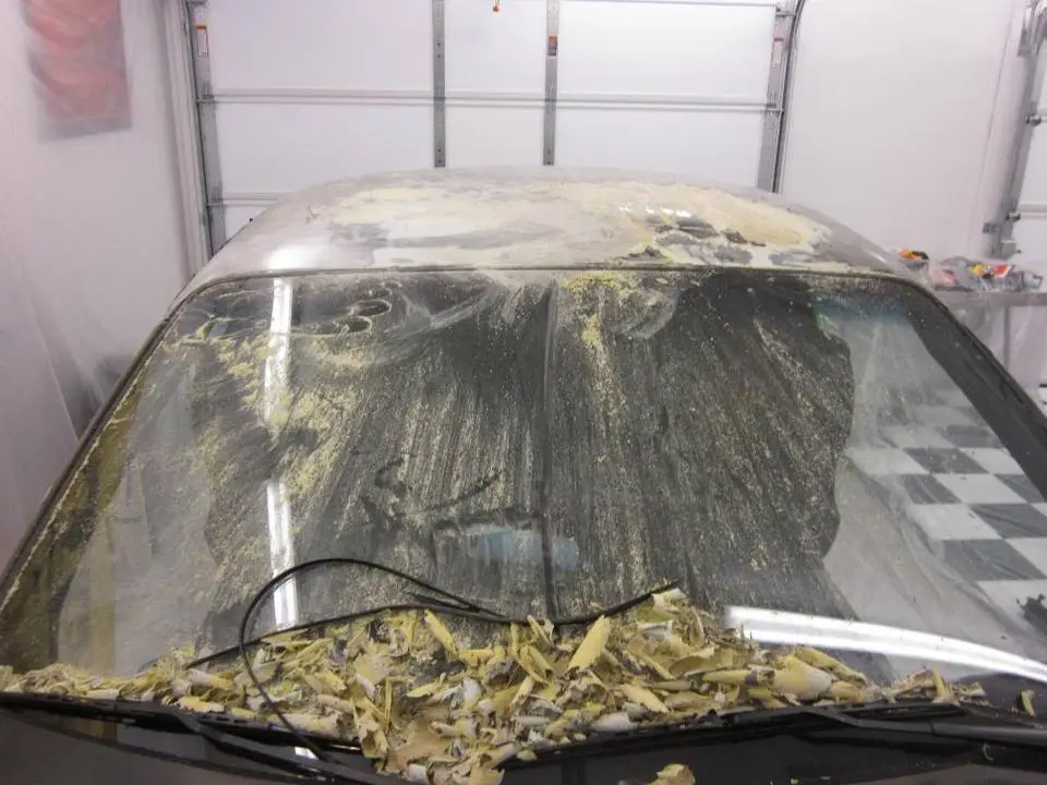 Bodywork61.webp