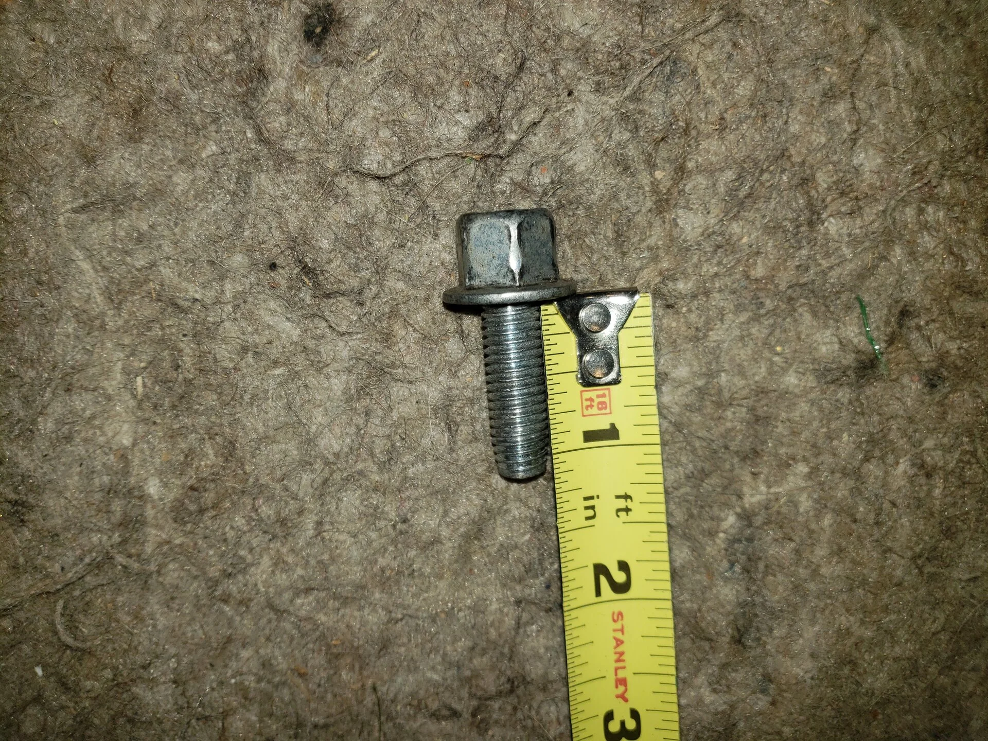 bolt 4.webp