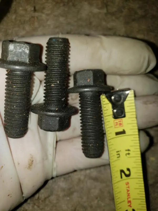 bolts 5.webp